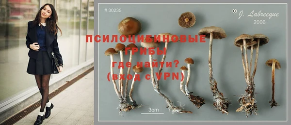 соль курить ск Краснослободск