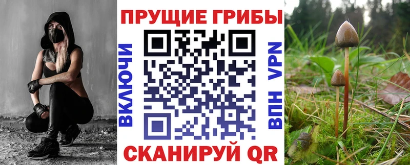 купить закладку  Норильск  блэк спрут сайт  Галлюциногенные грибы мухоморы 