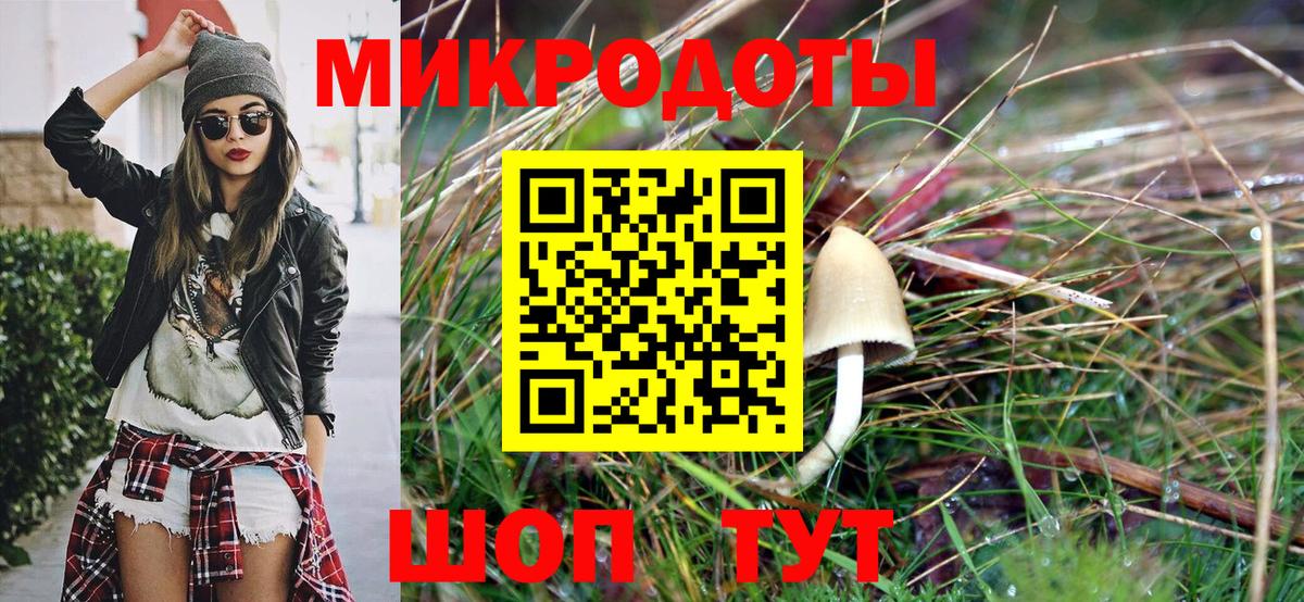 Псилоцибиновые грибы Psilocybe  Вход с VPN  Норильск 