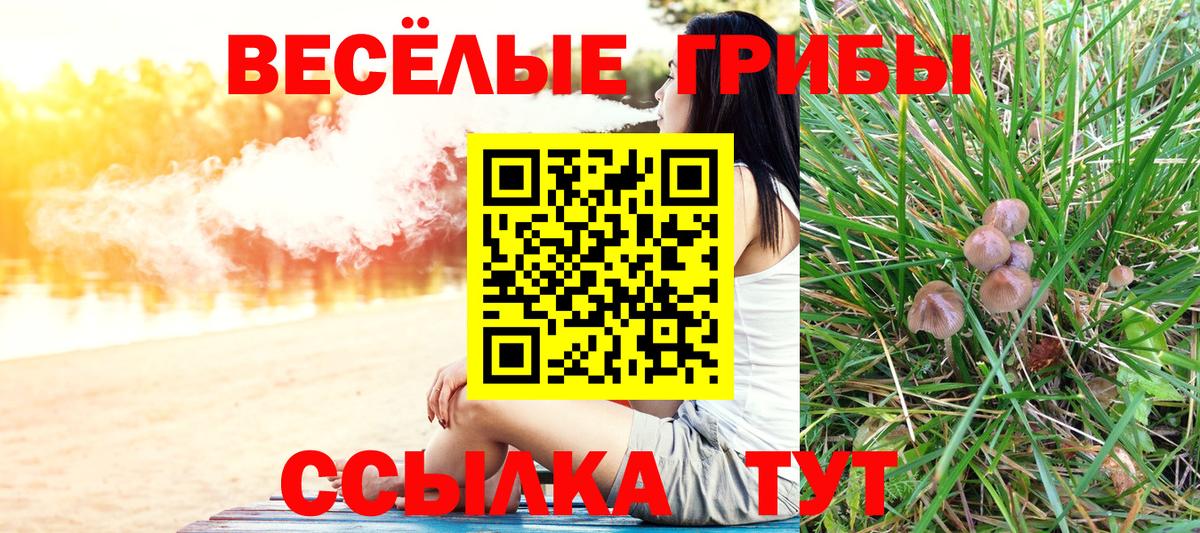 Псилоцибиновые грибы Psilocybe Норильск